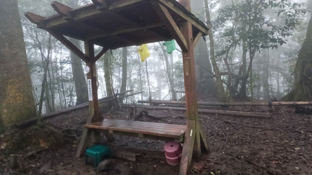 鳳凰南嶺線步道(溪頭至杉林溪縱走)_2150727