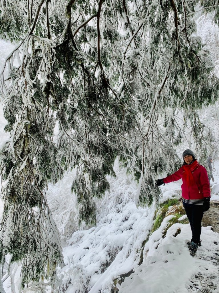 110年1月8日太平山賞雪_1233673