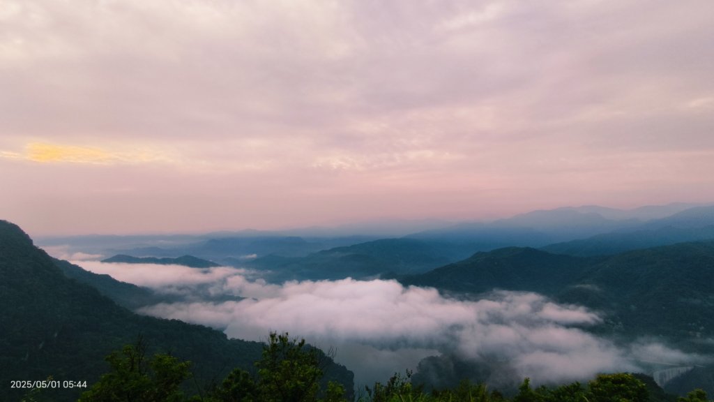 翡翠水庫壩頂 #火燒雲雲海 #日出雲海 #鱷魚島 #藍腹鷴 4/29_2773787