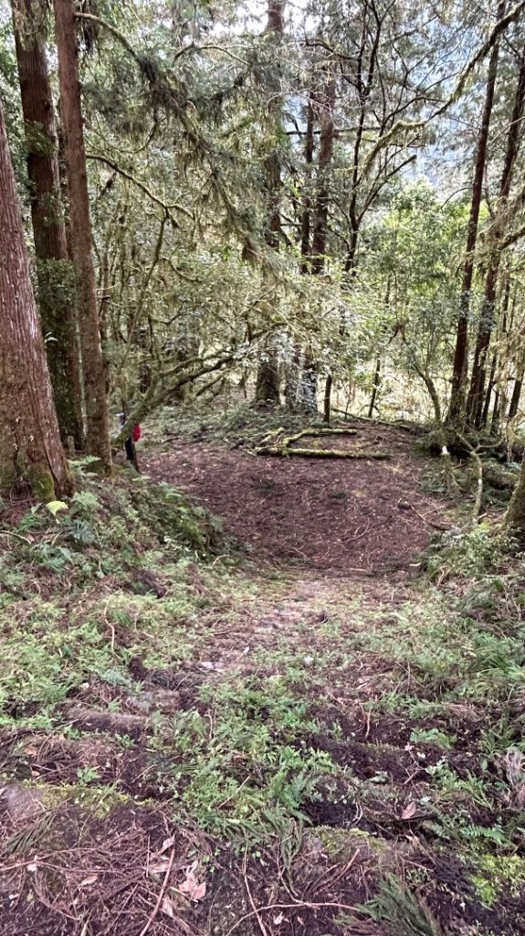 大同舊太平山神社給給池日向台_2748232