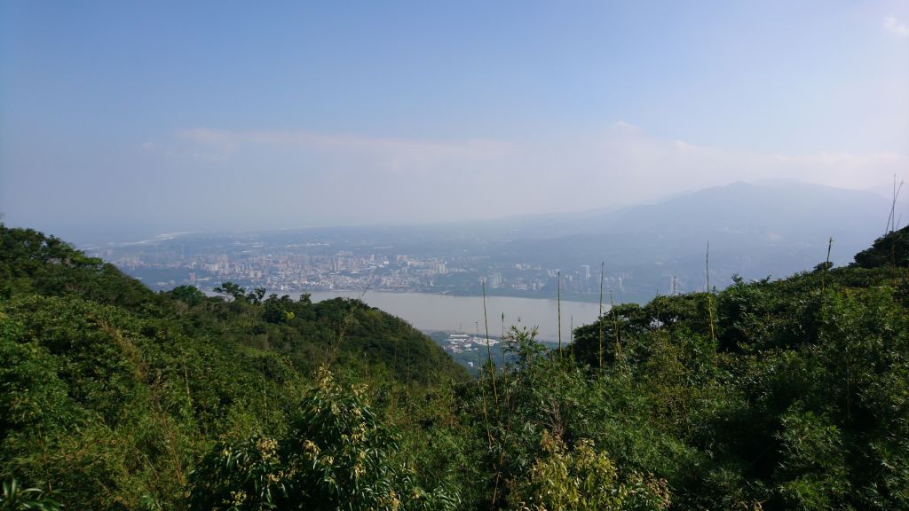 觀音山(林梢→楓櫃斗湖→硬漢嶺→占山)_414866