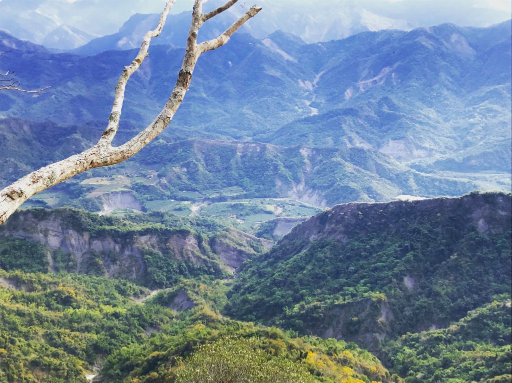 關子嶺雞籠山步道封面圖