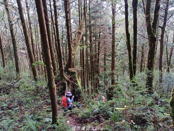 【宜蘭。大同】  三個女生的森林漫遊。  小百岳集起來。 編號85小百岳~三星山登山步道_1664969