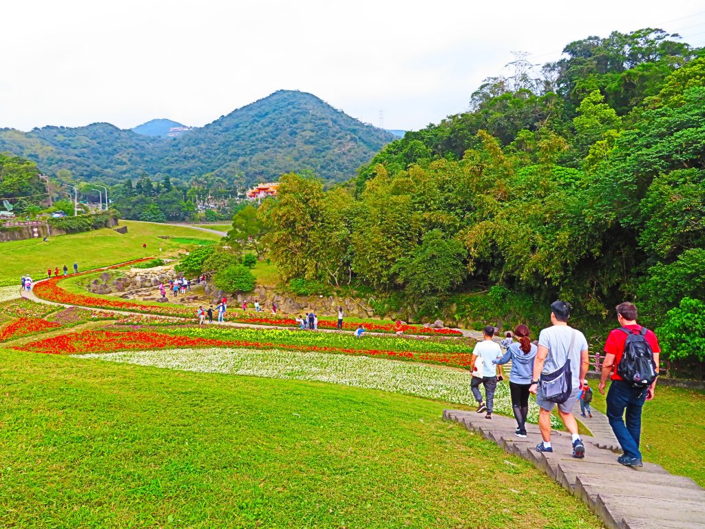 跟著花開去旅行：碧山巖櫻花及大溝溪花海_870089