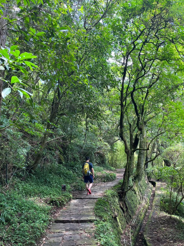 台北 陽明山 絹絲瀑布-擎天崗_2722165