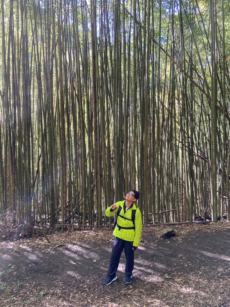 霞喀羅古道_1964463