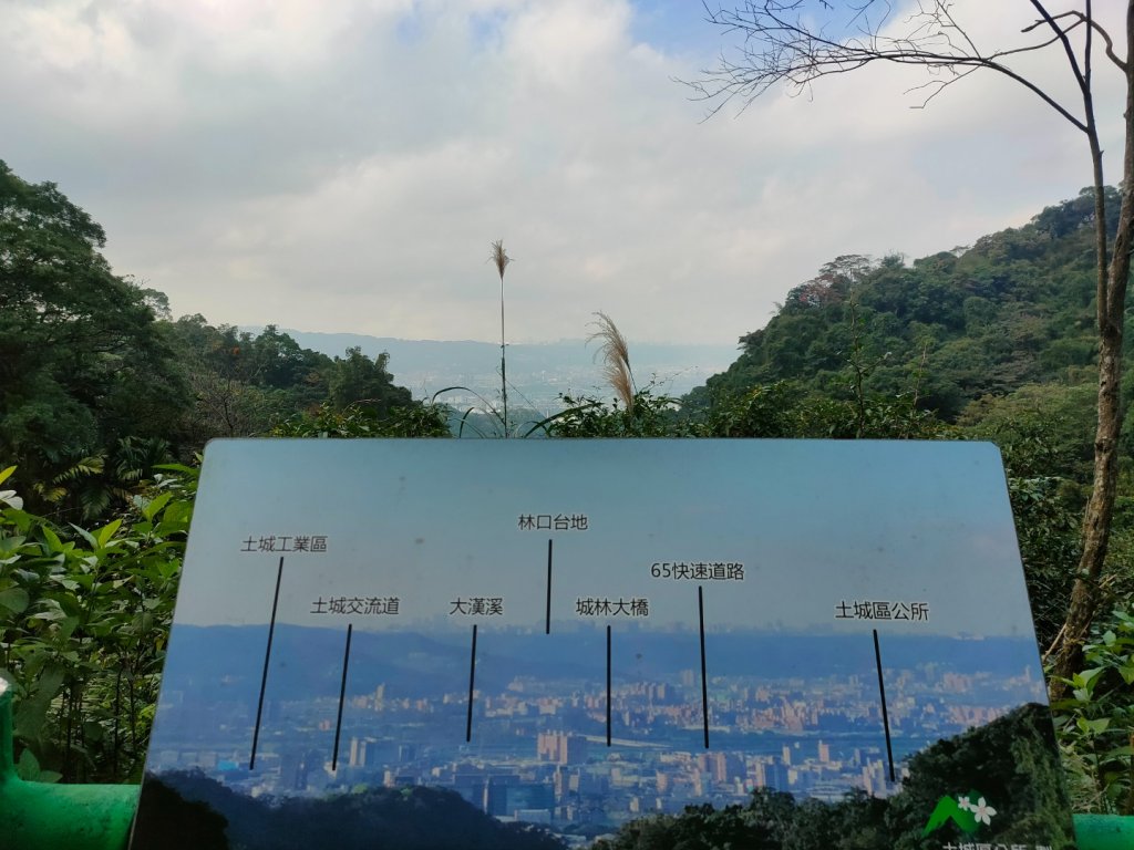 桐花公園、步道封面圖