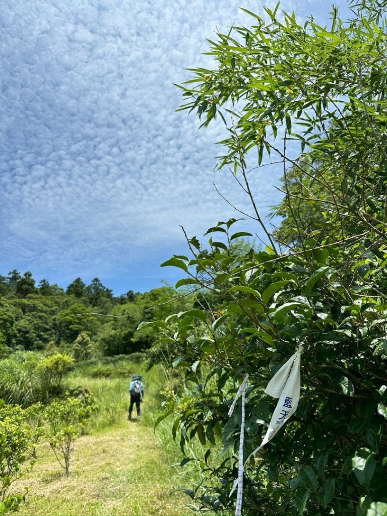 南勢坑山、鑽石峰、人面頭山、獅公髻尾山O走_2809724
