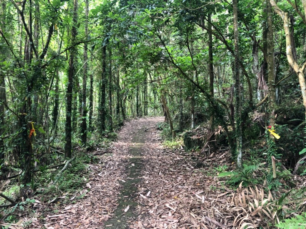 台南市白河區白鷲山森林三角點_1703981