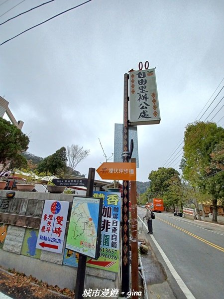 【台中和平】 雙崎部落款款行。 埋伏坪登山步道 (埋伏坪山)_2082079