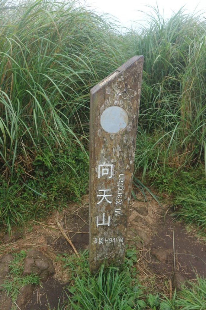 〔陽明山 〕面天山 向天山 向天池 二子坪步道。火山口湖 獨特生物蚌蟲 向天蝦（豐年蝦）_2235457