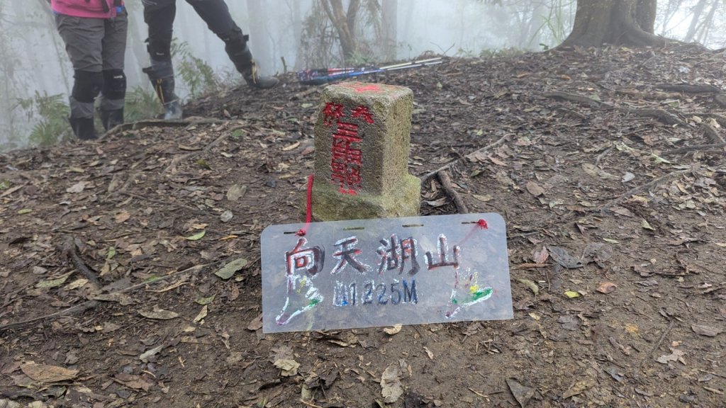 向天湖山步道 (大 O：含三角湖山、光天高山)_2664963