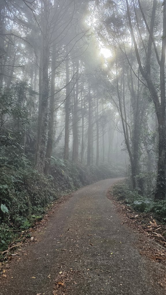 【馬年走馬山，馬到就成功！】🐴馬年馬路要走，馬那邦🏔️也要登！O繞11K，爬升900M，🥾腿在_2977179