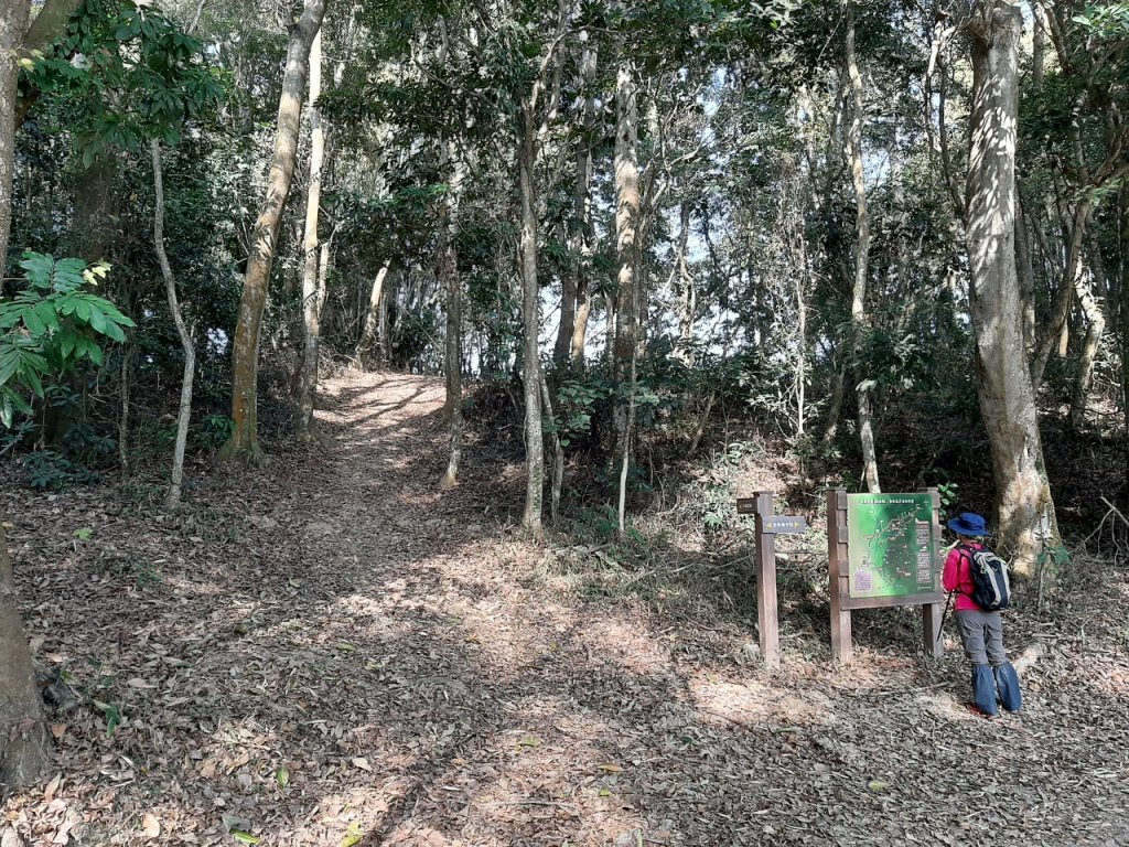 八通關古道社寮段_1276430