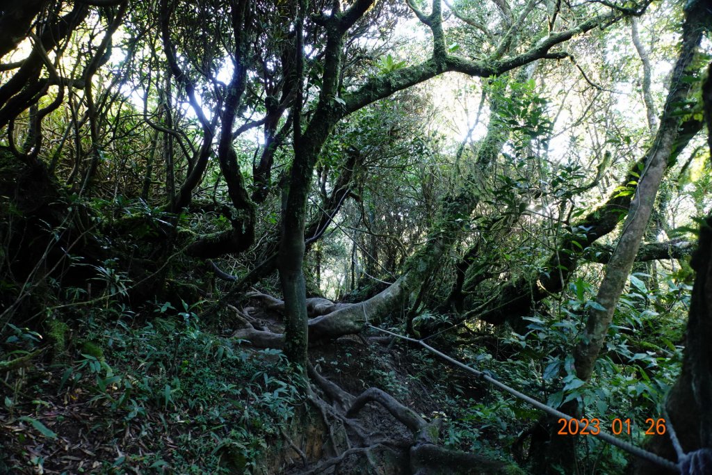 屏東 獅子鄉 里龍山(里隆山、里瀧山、鯉龍山)、下里龍山_2018580
