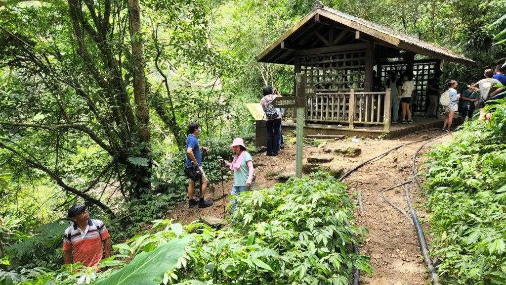 馬胎古道，南坪古道，高峰植物園，青草湖，苗栗虎山，老崎坪頂山，老崎古道，梅后蔓瀑布_1815039