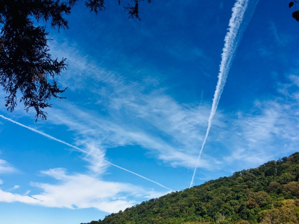 向南尋找消失的陽光 ～ 馬拉邦山 107_477667