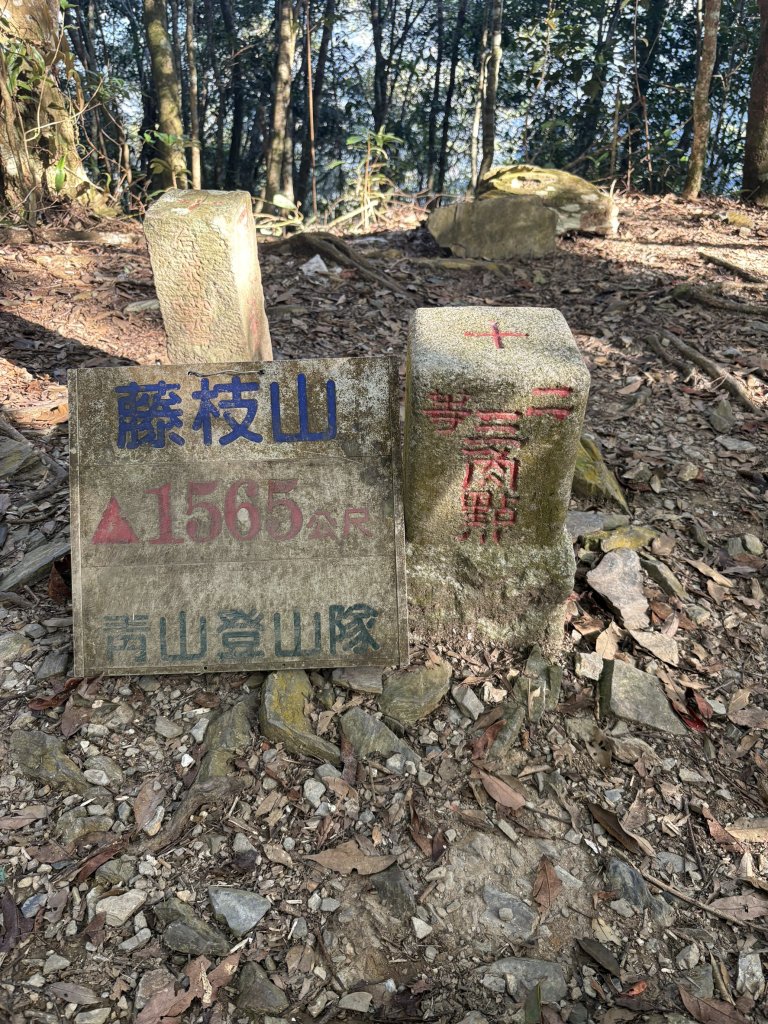 20251207藤枝山步道封面圖