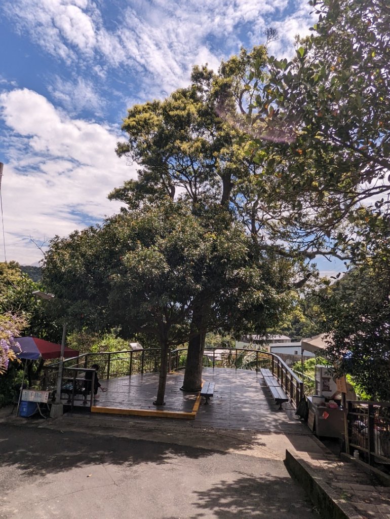 內湖景點輕鬆走：大溝溪生態園區。圓覺瀑布。夫妻樹＆紫藤花。同心池。白石湖吊橋。碧山巖_1654405