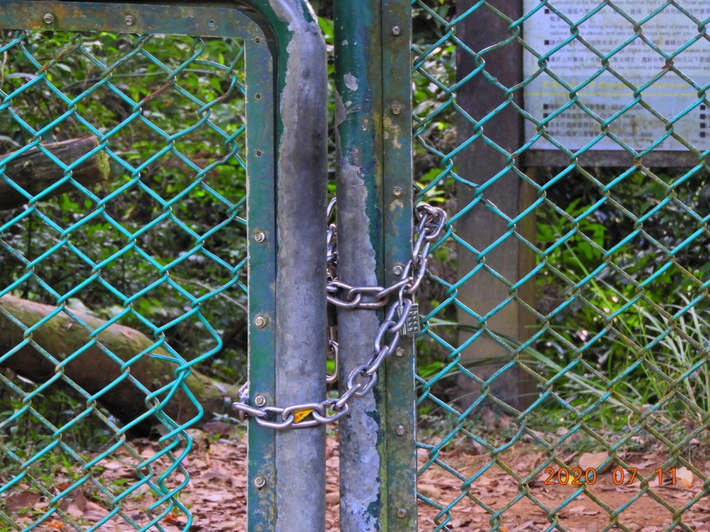 臺北 士林 磺嘴山_1029113