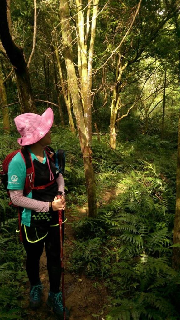 107.07.14 宜蘭圓通寺>鵲子山東北峰>鵲子山主峰>回圓通寺 0型路線_365195