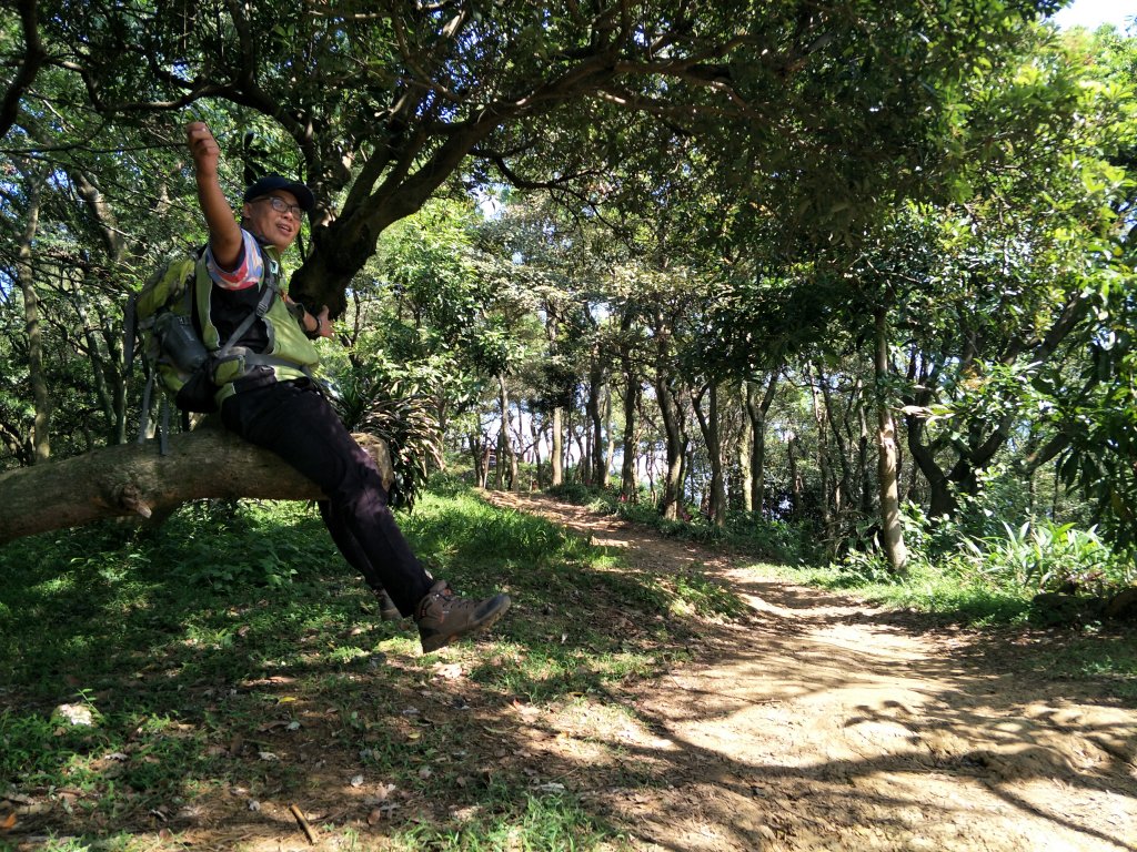 2020 03 16 樹林大棟山_881512