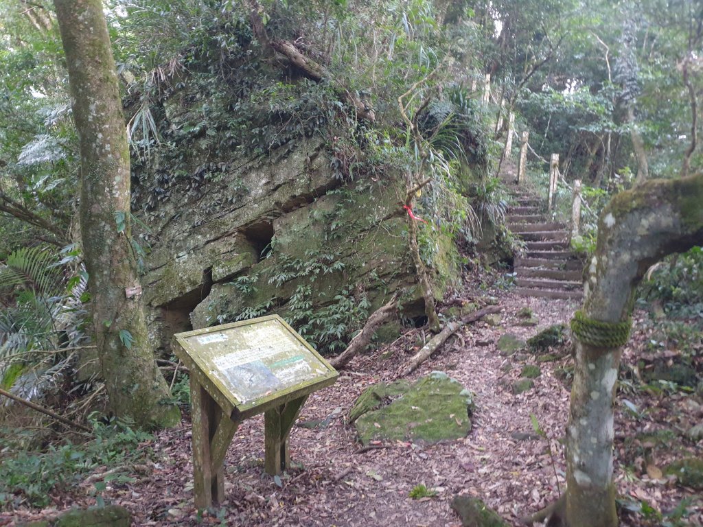 20230101出關古道 十份棟~關刀山西北峰_2003327