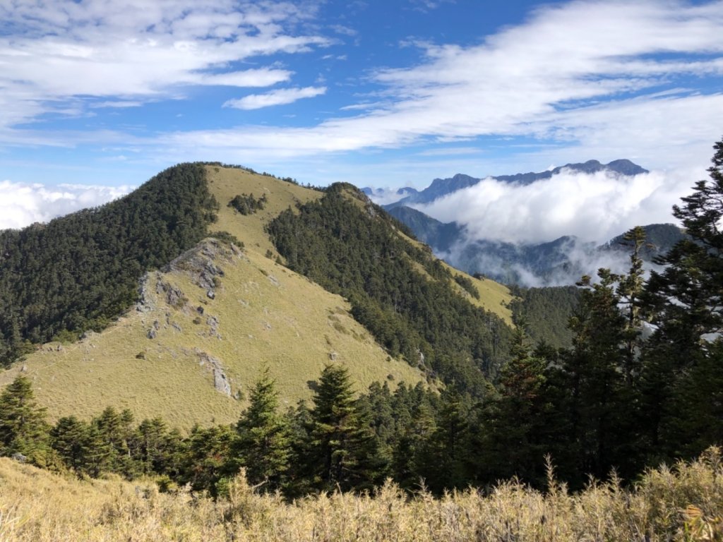 雪山西稜+大安溪神木_553218