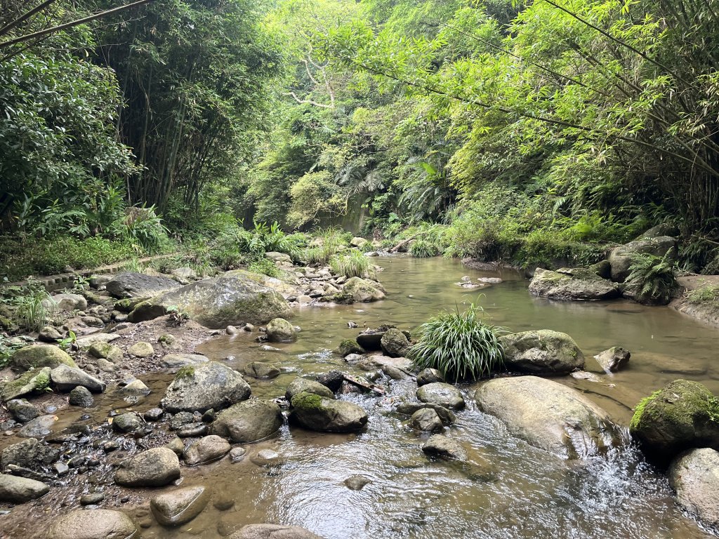 [皮皮獅探險隊-06/10] 2025_0706 四寮溪生態步道封面圖