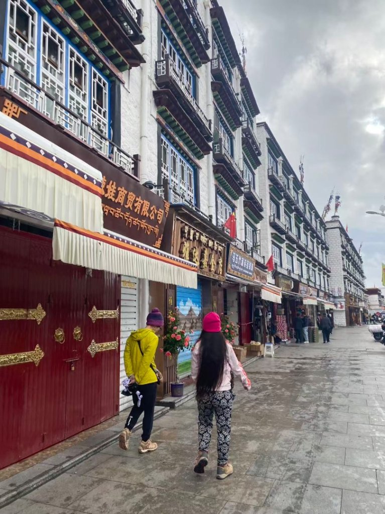 拉薩/布達拉宮-札達/古格王朝遺址皮央東嘎遺址-古寺廟_2898405