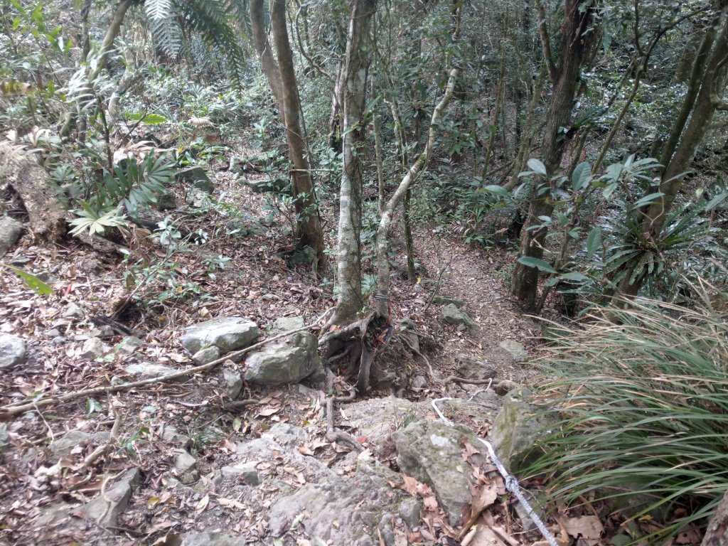 白雲山(小百岳#69)步道_1377514