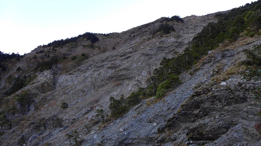 大好天氣的奇萊東稜_488857