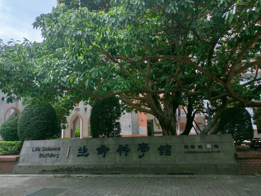 ［健康大穀東，台北趴趴走］（17~18）：台大椰林大道，台大舟山路（2023/7/29）_2239825