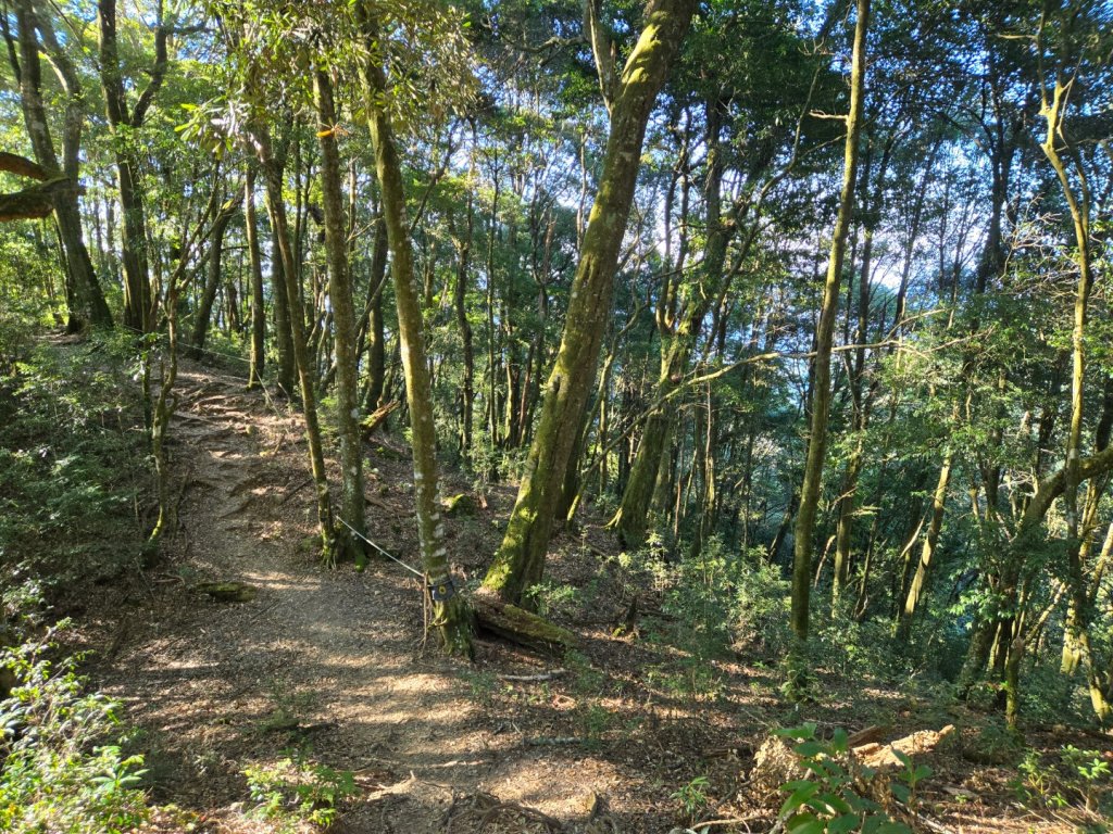屋我尾山（谷關七雄）_2664167