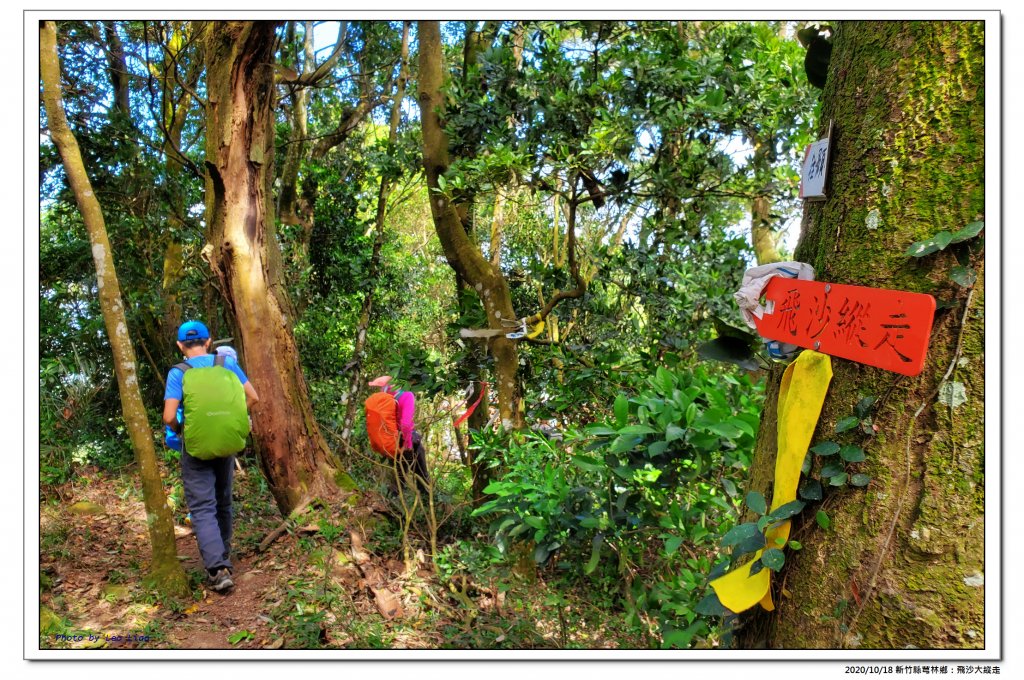 飛沙大縱走_1143732