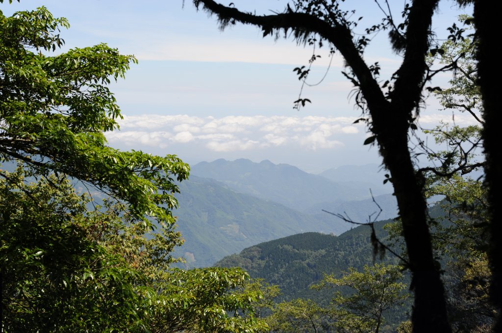 2013_0629_檜山巨木森林步道_2174326