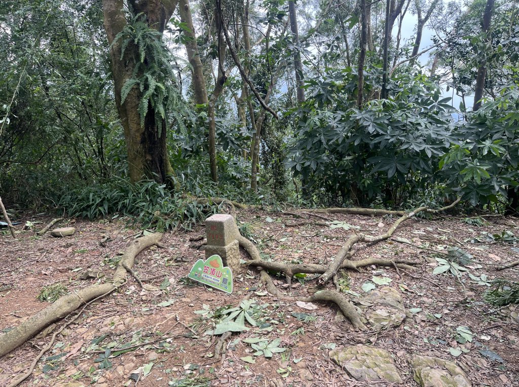 [屏步青雲 尋寶任務-06/10] 2024_1005 笠頂山步道_2616748