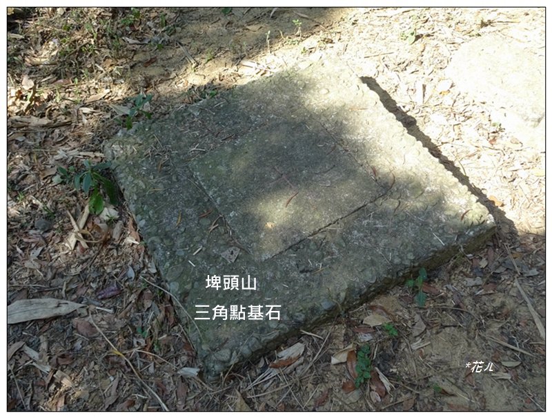 三汀山 、埤頭山連走_1586330