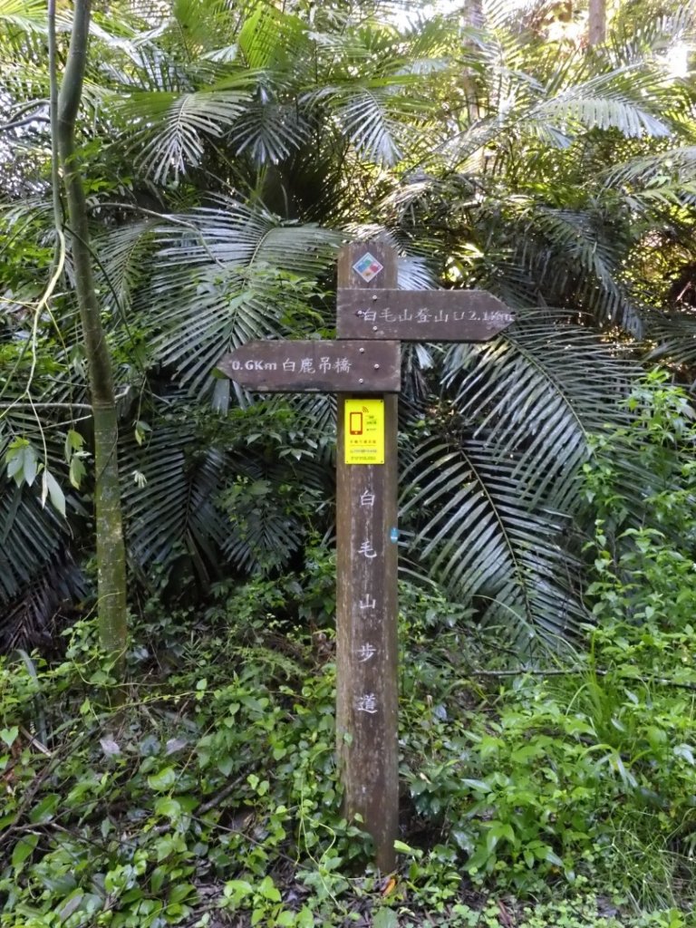 110.09.04白毛山_1452278