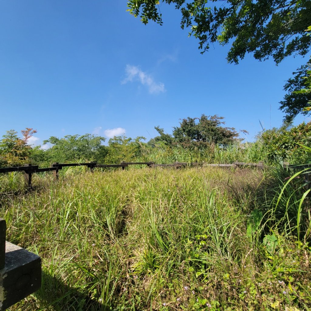大埔大巃三角點步道_1667521