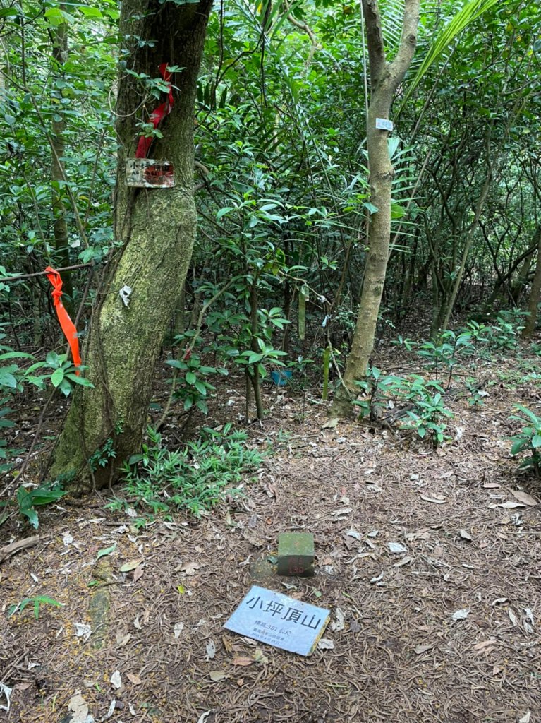 樹梅坑登山步道_1708354