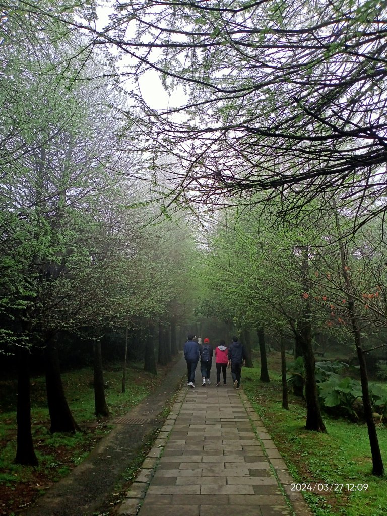 【臺北大縱走 3】冷水坑→七星山東峰→冷擎步道→牛奶湖→菁山吊橋_2468577