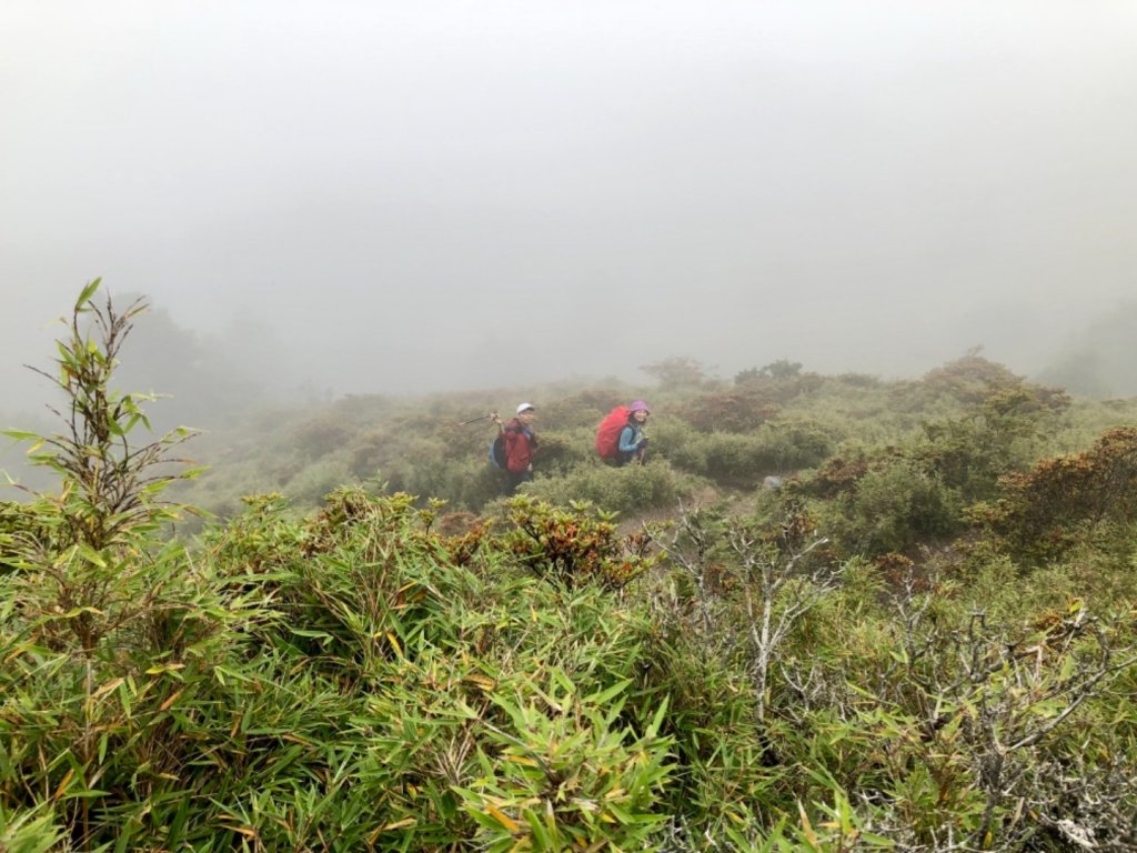 20190721 二訪畢羊_636104