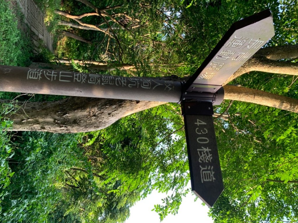 台中市太平區三汀山（小百岳）_1028965