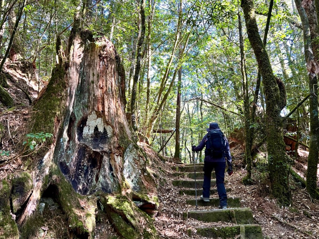 船型山環走大雪山210林道_2978030