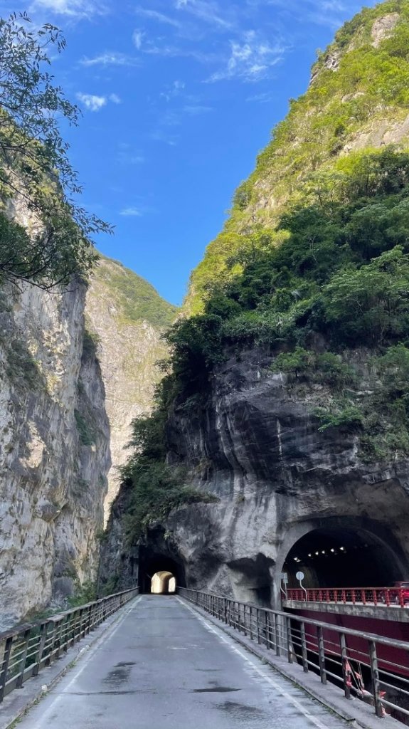 一日花蓮錐麓古道。砂卡礑步道_2232864