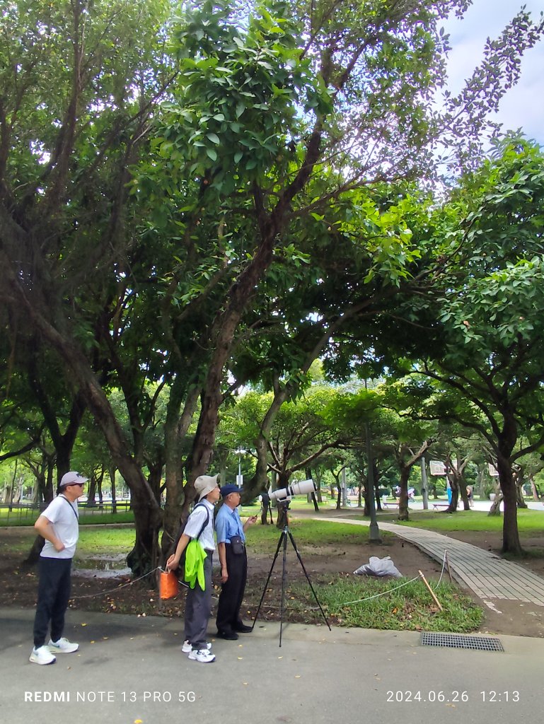 大安森林公園【走路趣尋寶】【臺北健走趣】_2536160