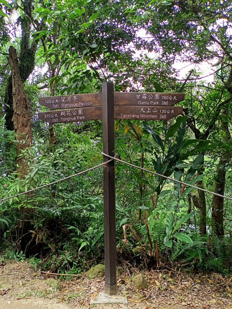 【小百岳集起來】#018 土城天上山 H430m_1380927