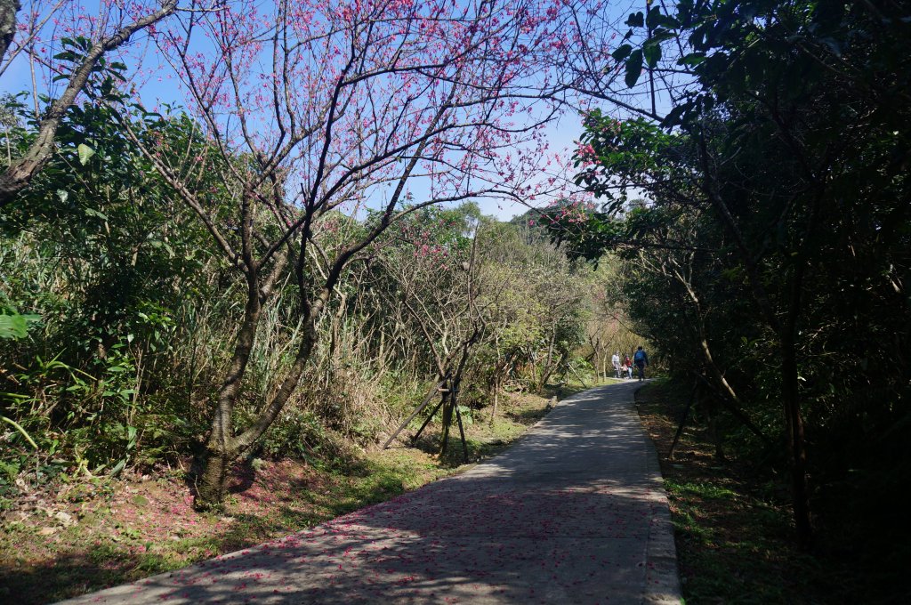 大武崙山 大武崙砲台 情人湖 連走_2037501