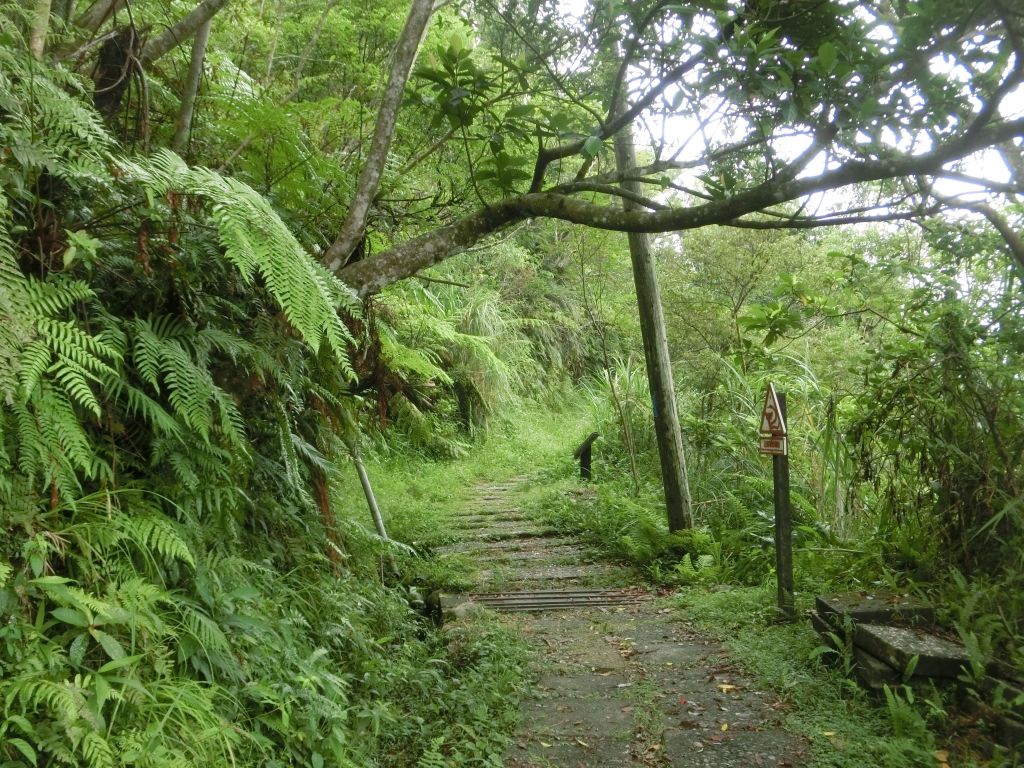 礁溪跑馬古道_175180